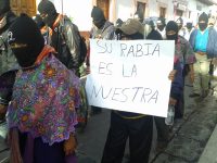 marcha ayotzinapa chis (13)