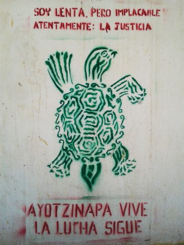 stencil tortuga ayotzi