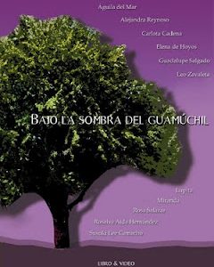 Presentación del Libro el 7 de julio en CIDECI Uni-Tierra, San Cristóbal de Las Casas, Chiapas. Historias de vida de mujeres presas en el CERESO...