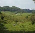 Este jueves 21 de junio de 2012 se presentará el Informe: Misión Civil de Observación y Solidaridad con los poblados Salvador Allende, Ranchería Corozal y San Gregorio Montes Azules,...