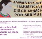 El centro de Derechos de la Mujer de Chiapas CDMCH y el grupo de mujeres de San Cristóbal COLEM invitan a la conferencia de prensa...