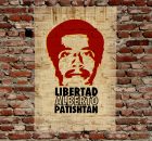Documental de la vida y lucha del preso político de El Bosque, Chiapas Alberto Patishtán Gómez es un profesor tsotsil, originario del pueblo de El...