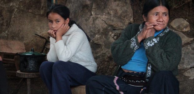 A dos años de que una familia simpatizantes al EZLN fue desplazada de la comunidad de Banavil, Tenejapa; hoy ofrecerán una conferencia de prensa en...