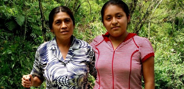 La familia Rodríguez López radica en el municipio de Olintla, en la Sierra Norte de Puebla, desde hace tres generaciones. Vive cerca de la plaza...