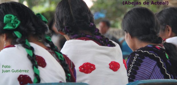 Pueblos indígenas de Chiapas nos encontraremos en Acteal para seguir caminando La Otra Justicia y reconstruir nuestra memoria por el dolor que hemos enfrentado como...