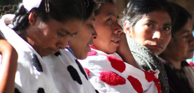 Organización de la Sociedad Civil Las Abejas Tierra Sagrada de los Mártires de Acteal Acteal, Ch’enalvo’, Chiapas, México. A 22 de febrero de 2016. A...
