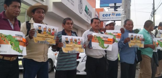 Defender la vida, defender la tierra 11 de Agosto del 2016, Tuxtla Gutiérrez, Chiapas Fuente: Casa de la mujer «ixim antsetik» El sistema de despojo...