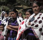 Organización Sociedad Civil Las Abejas de Acteal Tierra Sagrada de los Mártires de Acteal Municipio de Chenalhó, Chiapas, México.   A 22 de mayo 2017....