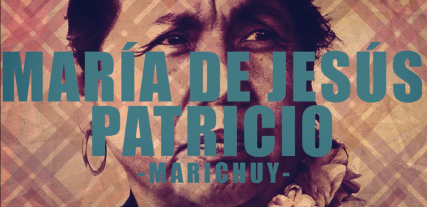 Dedicamos este video María de Jesús Patricio Martínez mejor conocida como Marichuy, activista y médica tradicional nahua, vocera del Concejo Indígena de Gobierno, del Congreso...